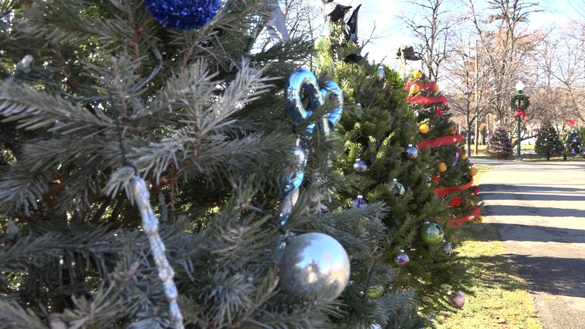 Christmas in the Palmerton Park